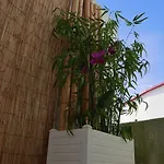 Tatil Evi Casa Do Cabeta
